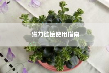 磁力链接使用指南