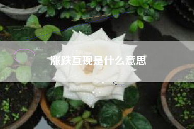 涨跌互现是什么意思