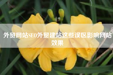 外贸网站SEO外贸建站这些误区影响网站效果