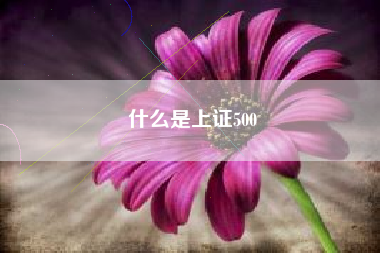 什么是上证500
