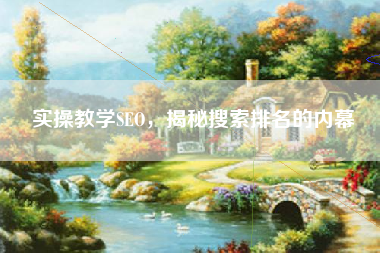 实操教学SEO，揭秘搜索排名的内幕