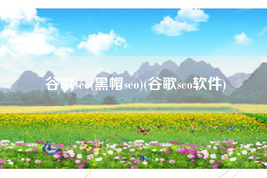 谷歌seo(黑帽seo)(谷歌seo软件)