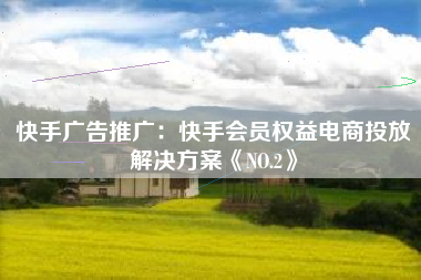 快手广告推广：快手会员权益电商投放解决方案《NO.2》
