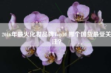 2016年最火化妆品牌Top10 哪个国货最受关注？