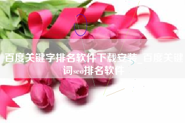 百度关键字排名软件下载安装_百度关键词seo排名软件