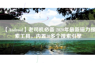 【Android】老司机必备 2020年最新磁力搜索工具，内置30多个搜索引擎