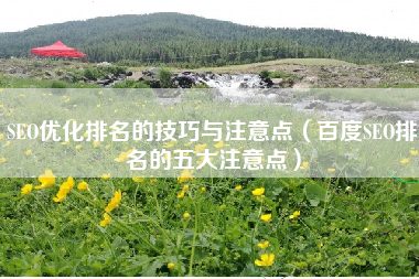 SEO优化排名的技巧与注意点（百度SEO排名的五大注意点）