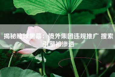 揭秘赌球黑幕：境外集团违规推广 搜索引擎被渗透