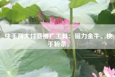 快手两大付费推广工具：磁力金牛、快手粉条。