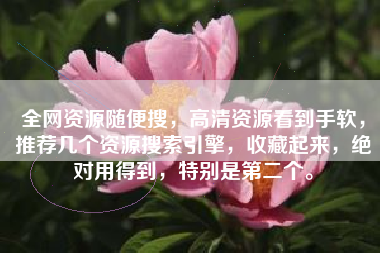 全网资源随便搜，高清资源看到手软，推荐几个资源搜索引擎，收藏起来，绝对用得到，特别是第二个。