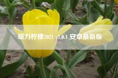 磁力柠檬2021 v1.0.1 安卓最新版