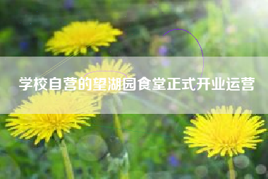 学校自营的望湖园食堂正式开业运营