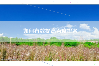 如何有效提高百度排名
