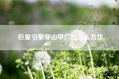 巨量引擎穿山甲广告怎么合作