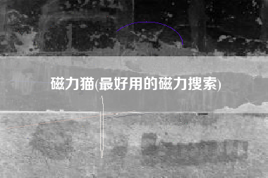 磁力猫(最好用的磁力搜索)
