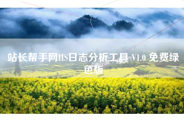 站长帮手网IIS日志分析工具 V1.0 免费绿色版