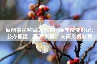 原创最强监管之下的国际学校变形记：公办撤退、资产剥离、关停义务教育
