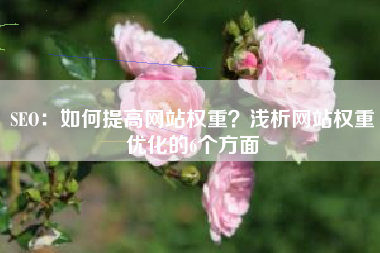 SEO：如何提高网站权重？浅析网站权重优化的6个方面