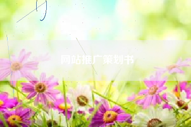 网站推广策划书