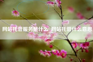 网站托管服务是什么_网站托管什么意思