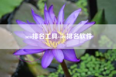 seo排名工具-seo排名软件