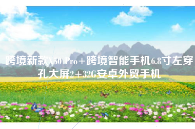 跨境新款X50 Pro+跨境智能手机6.8寸左穿孔大屏2+32G安卓外贸手机