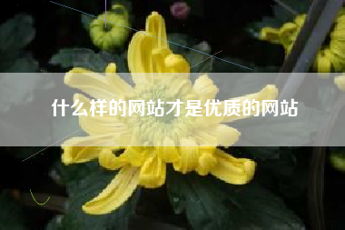 什么样的网站才是优质的网站