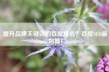 提升品牌关键词的百度排名？百度SEO最划算！