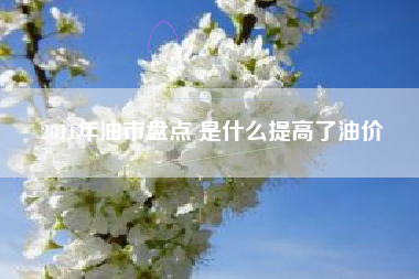 2011年油市盘点 是什么提高了油价
