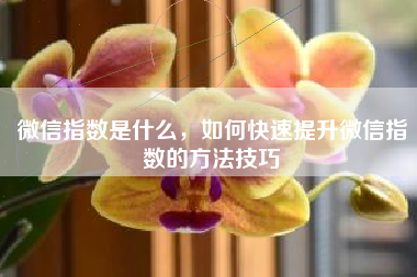 微信指数是什么，如何快速提升微信指数的方法技巧