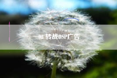 02 转战DSP广告