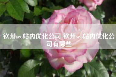 钦州seo站内优化公司-钦州seo站内优化公司有哪些