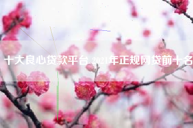 十大良心贷款平台 2021年正规网贷前十名