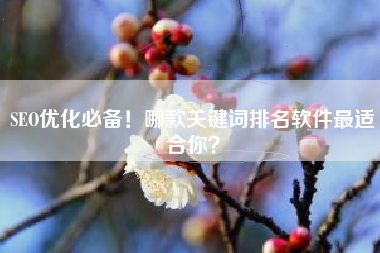 SEO优化必备！哪款关键词排名软件最适合你？