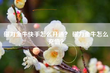 磁力金牛快手怎么开通？ 磁力金牛怎么充值？
