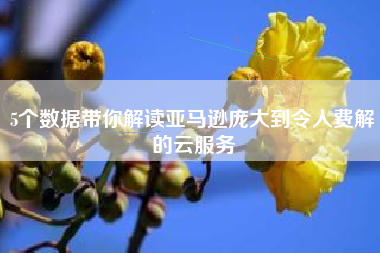 5个数据带你解读亚马逊庞大到令人费解的云服务