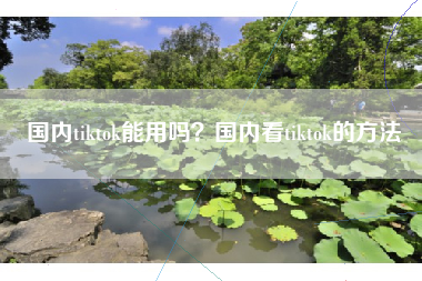 国内tiktok能用吗？国内看tiktok的方法