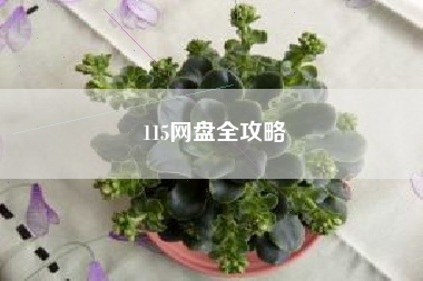 115网盘全攻略