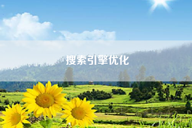 搜索引擎优化