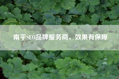 南平SEO品牌服务商，效果有保障