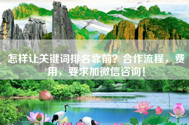 怎样让关键词排名靠前？合作流程，费用，要求加微信咨询！