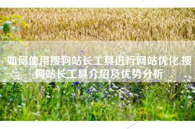 如何使用搜狗站长工具进行网站优化,搜狗站长工具介绍及优势分析