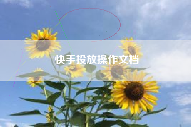 快手投放操作文档