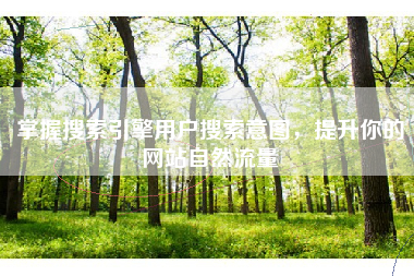 掌握搜索引擎用户搜索意图，提升你的网站自然流量