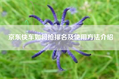 京东快车如何抢排名及使用方法介绍