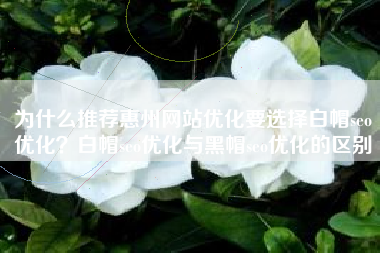 为什么推荐惠州网站优化要选择白帽seo优化？白帽seo优化与黑帽seo优化的区别