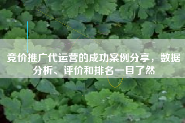 竞价推广代运营的成功案例分享，数据分析、评价和排名一目了然