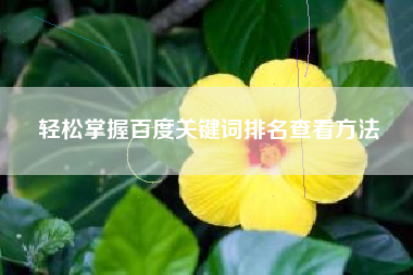 轻松掌握百度关键词排名查看方法