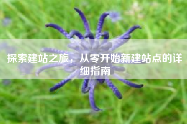 探索建站之旅，从零开始新建站点的详细指南