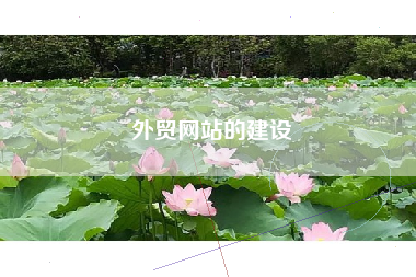 外贸网站的建设